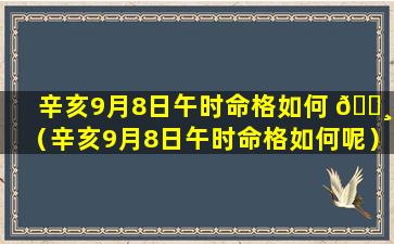 辛亥9月8日午时命格如何 🕸 （辛亥9月8日午时命格如何呢）